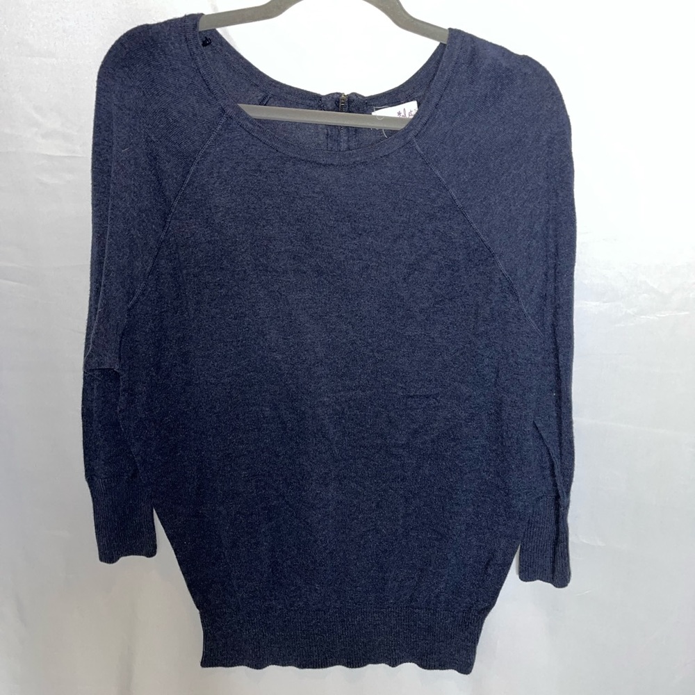 Shrinking Violet Blue Tunic Sweater.